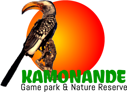 Kamonande Logo